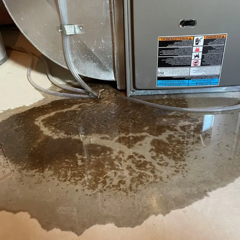 Pipe Burst and Leak Restoration in Schoharie County, NY